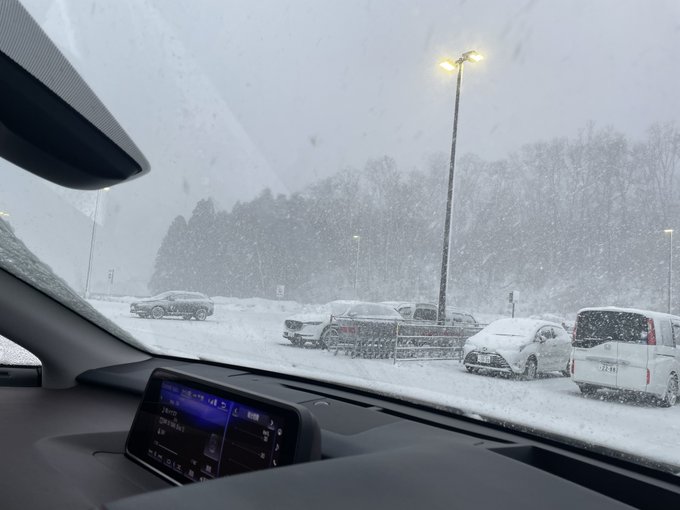 買い物から帰ってきたらハイパー吹雪ってた 