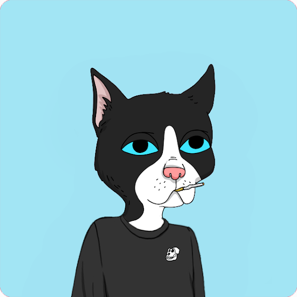 BoredCatSC's tweet photo. gn

#apetogether #BAYC #BCSC #whitelist #NFT #NFTGiveaway https://t.co/tQnYMBhgnY