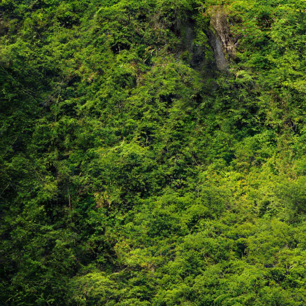 oka_shion's tweet image. ニューラルフィルターを試してみた。
元画像はOSB合板。
#neuralfilters