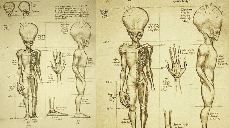 Politiolog's tweet photo. Future possible evolution #ufotwitter #ufoac https://t.co/CHJcwPAMC7