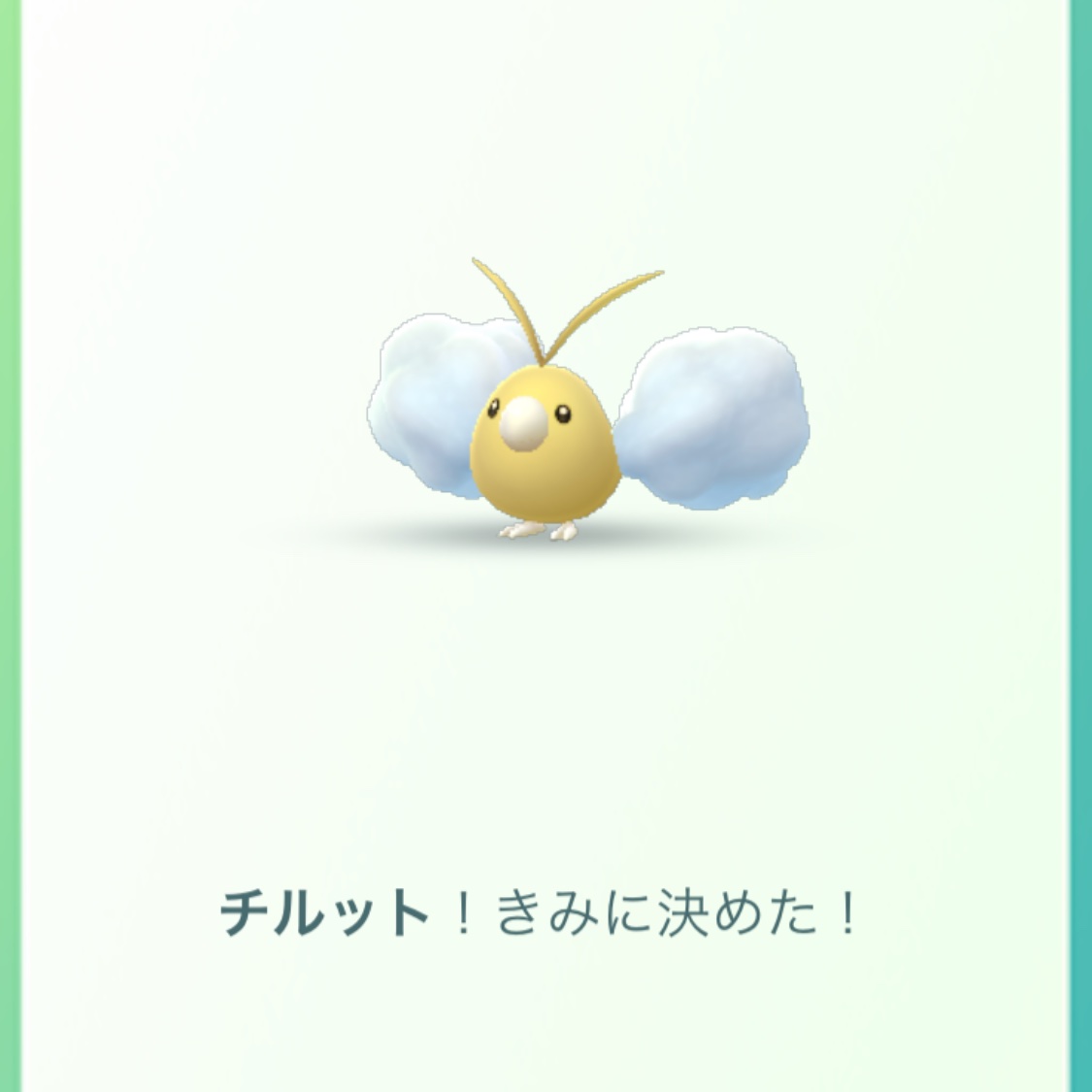 ダイパリメイク sp チルットの色違い入手方法 ポケモンbdsp 攻略大百科