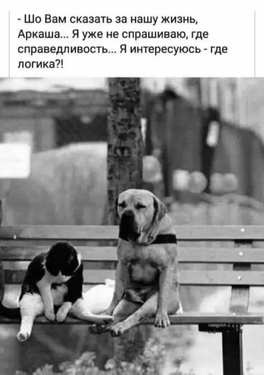 safyanov67's tweet photo. https://t.co/dsduTG8R5a