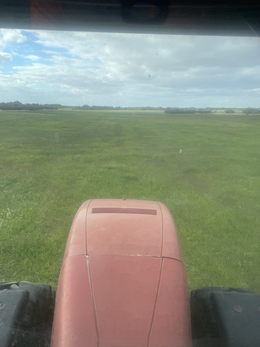 DanSchilling89's tweet photo. Going for a second pass of summer spray. This was sprayed 46 days ago, since that time we’ve had 220mm. In 2018 we didn’t receive that for the entire year. Luckily chemical prices are at an all time low 😅 https://t.co/PZvJV5gsYj