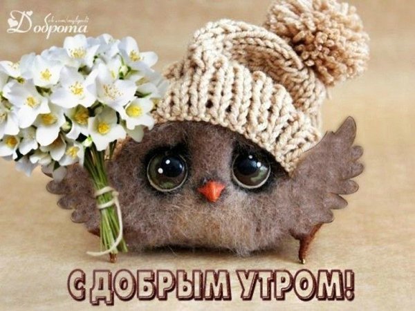 Roger2367 tweet picture