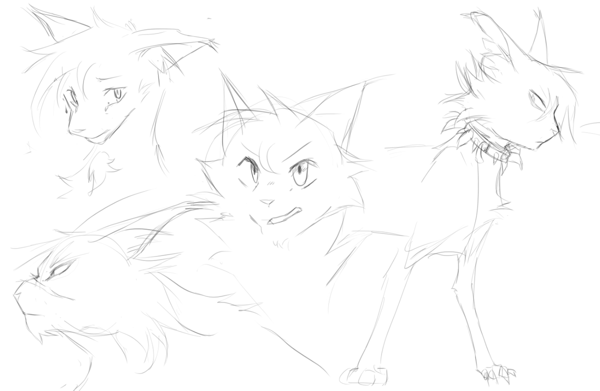 i anime-fied warriors cats 