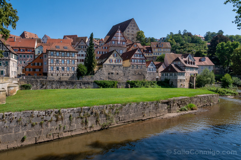 SaltaConmigo tweet media