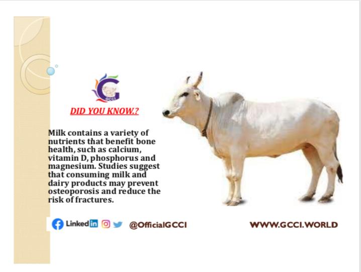 GavyaChetnaa tweet media