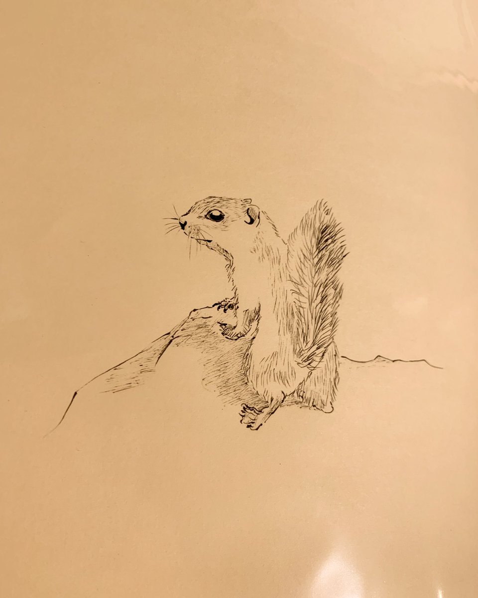watashitoniwa's tweet photo. ＊New Drawing
painter: Kai
country: Japan

#watashitoniwa
#インテリアアート
#イラスト
#ドローイング
#アート好きな人と繋がりたい 
#artwork
#japan
#exhibition
#instagram
#イラスト好きな人と繋がりたい 
#イラスト好きと繋がりたい 
#落書き好きさんと繋がりたい
#絵描きさんと繋がりたい https://t.co/PRsarxQDSV
