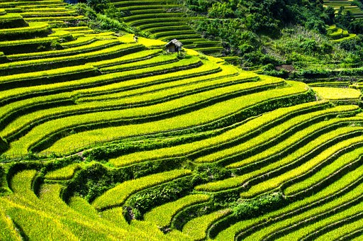 MugishaElie_'s tweet photo. Soil erosion is a catastrophic disaster to farmers. we need to take good practices such us use mulches, cover crops, making terraces and enjoy the continuous production. https://t.co/dDuvOQ3gy2