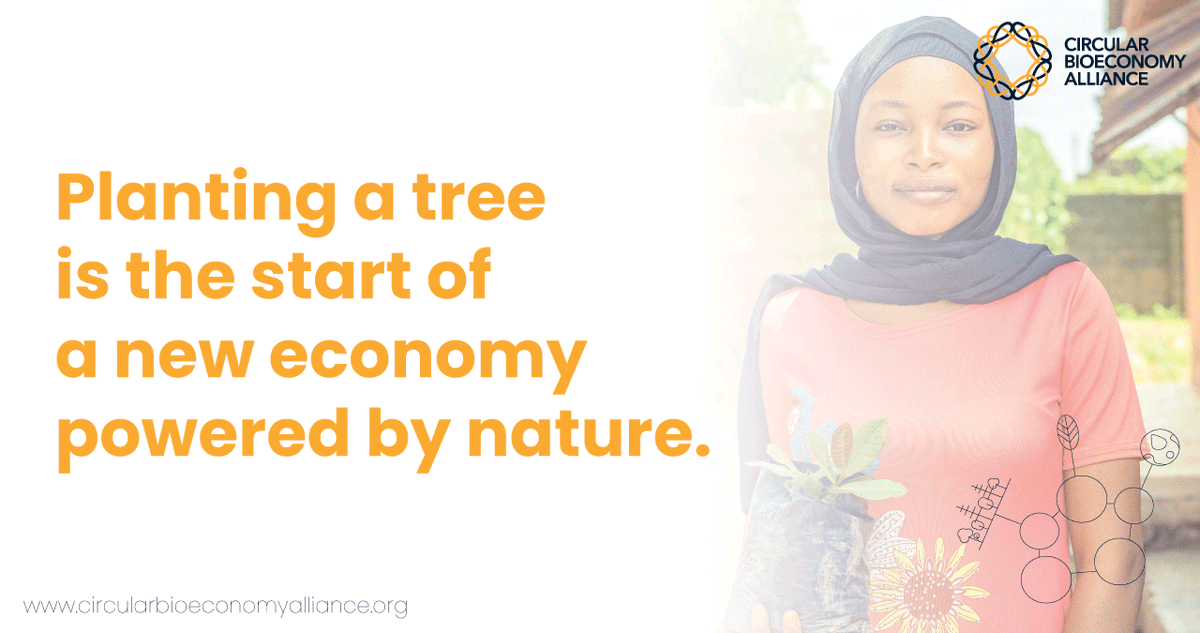 circbioalliance's tweet photo. In #Nigeria, we work with local communities to foster #resilience of #cashew farms and community livelihoods. In addition to tree planting and agroforestry training, there will be environmental education programmes for local communities. #CBALivingLabs https://t.co/xNultxYTct