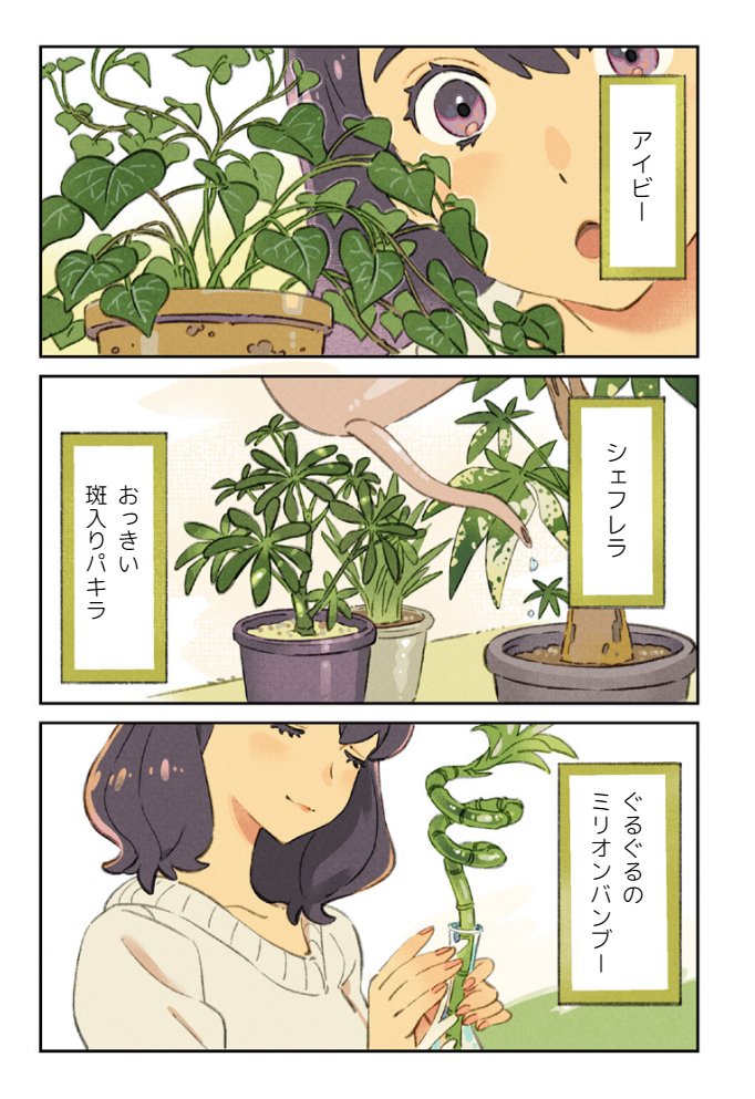 Room4🍃𝐿𝑖𝑣𝑖𝑛𝑔 ℎ𝑎𝑝𝑝𝑖𝑙𝑦 𝑤𝑖𝑡ℎ 𝑝𝑙𝑎𝑛𝑡𝑠
https://t.co/7gAKfZF7kA 