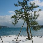 ツイートに含まれる画像