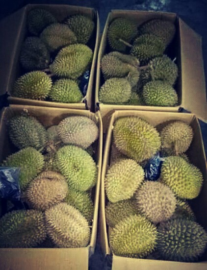 __AnakKolong's tweet photo. https://t.co/rcou9BcZBY