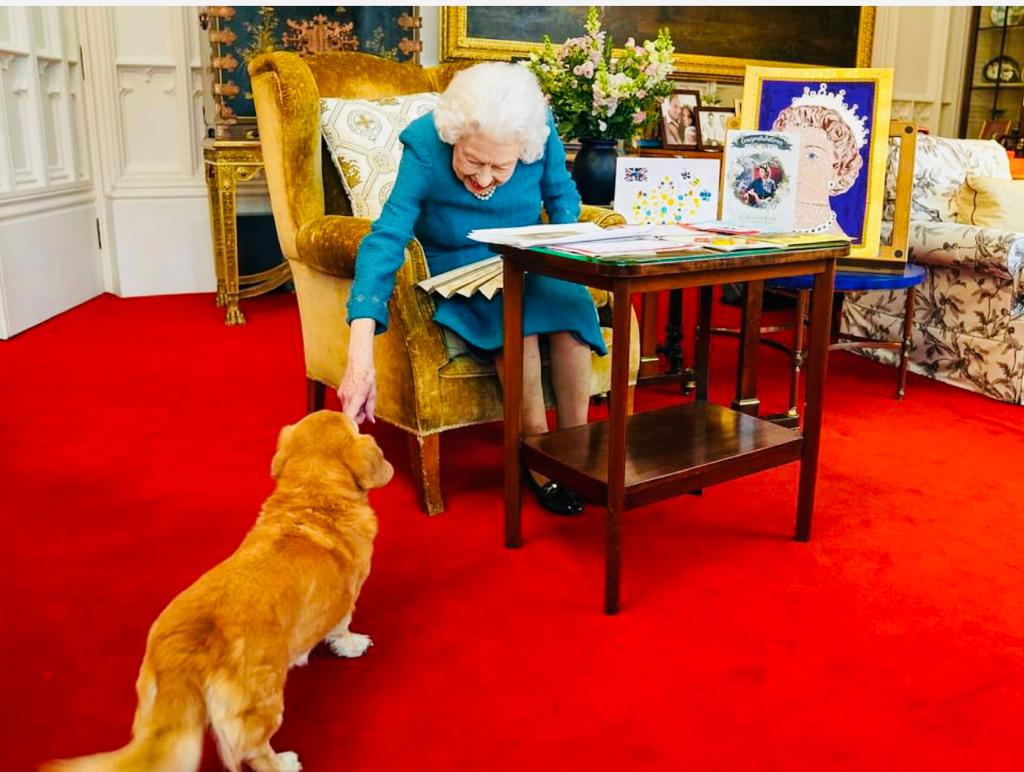 Albantayerima's tweet photo. I wish Queen Elizabeth a quick recovery Amen. May God Almighty grant her quick recovery Amen. She will be in our prayers. The most kindhearted leader in the history of the world. https://t.co/KlUvgGPvxw