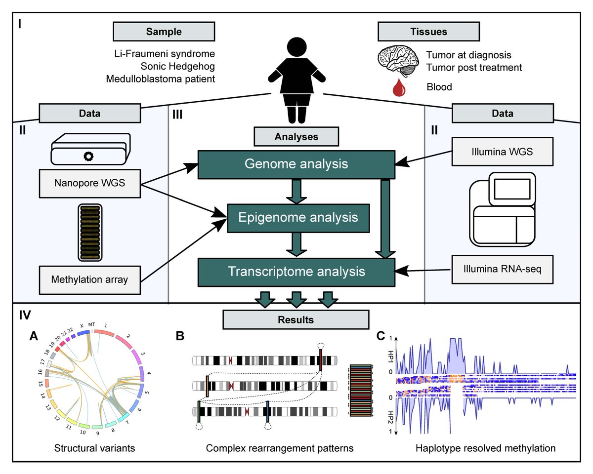 Marc Jan Bonder (@mjbonder) on Twitter photo Interested in the application of long read technology on a cancer genomics?
Read our pre-print on the application of ONT sequencing on a complex Medulloblastoma case!
biorxiv.org/content/10.110⦠(1/n) <a href="/JanKorbel5/">Jan Korbel</a> <a href="/StatGenomics/">Stegle Lab</a> & Aurelie Ernst Interested in the application of long read technology on a cancer genomics?
Read our pre-print on the application of ONT sequencing on a complex Medulloblastoma case!
biorxiv.org/content/10.110⦠(1/n) <a href="/JanKorbel5/">Jan Korbel</a> <a href="/StatGenomics/">Stegle Lab</a> & Aurelie Ernst
