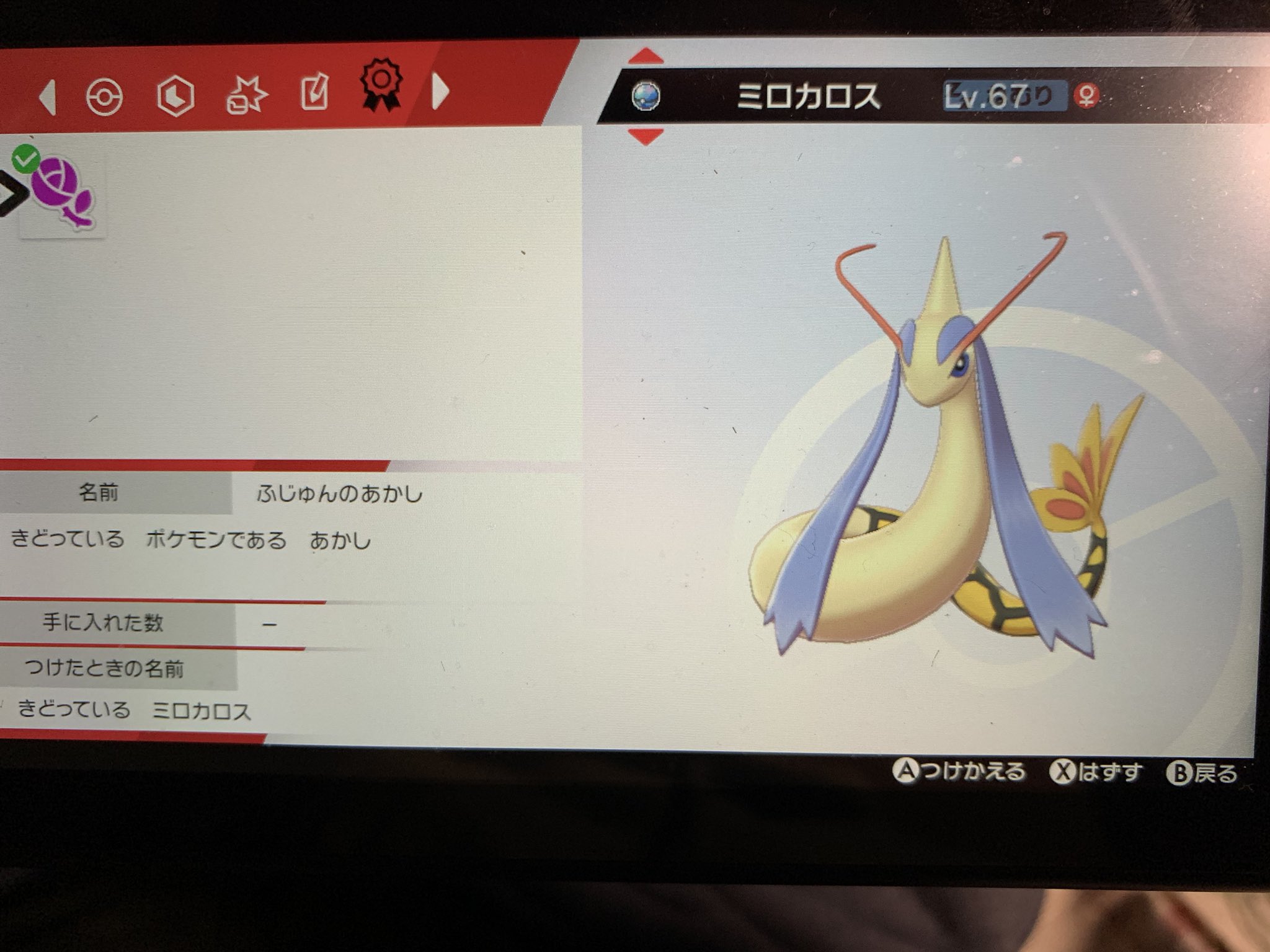 ポケモン交換アカウント 出 画像の色証 求 色レシラム 色ゼクロム 色トルネロス 色ランドロス 色ラティアス 色グラードン 色ディアルガ 配信通常色ディアルガパルキア 色ヒードランまたは色ネクロズマ 色gフリーザー よろしくお願い致します
