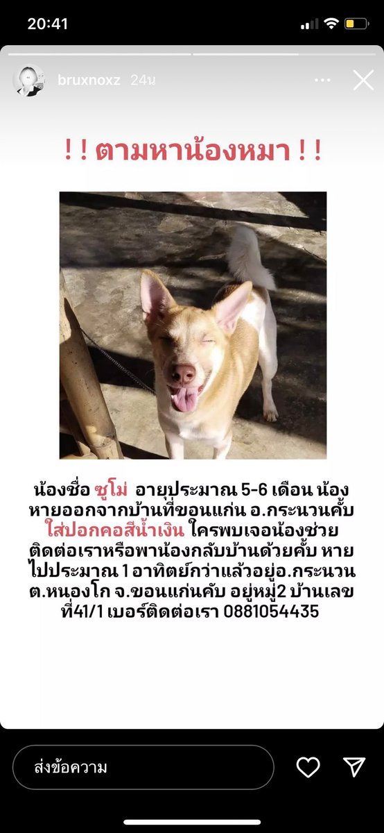 เจ้าไอ 𓆝 tweet media