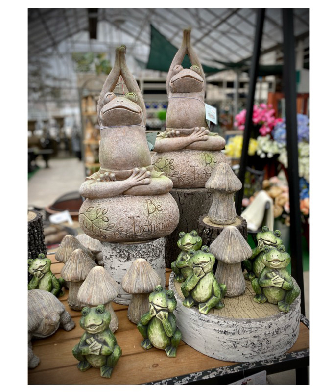 heinzbrosgarden's tweet image. Keep calm and pretend it’s not Monday! Be tranquil ..🐸💚
#heinzbrothersgarden 
#gardencenter 
#gardendecorations