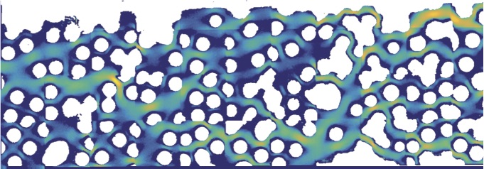 Fully funded #PhD position in Statistical and Soft Matter Physics @TU_Munich.  Your chance to make materials smart by teaching them to self-optimize for efficient transport. Do theory in collaboration with experiments. #LadHyx #PhDposition #academicjobs tinyurl.com/yc7kvymc