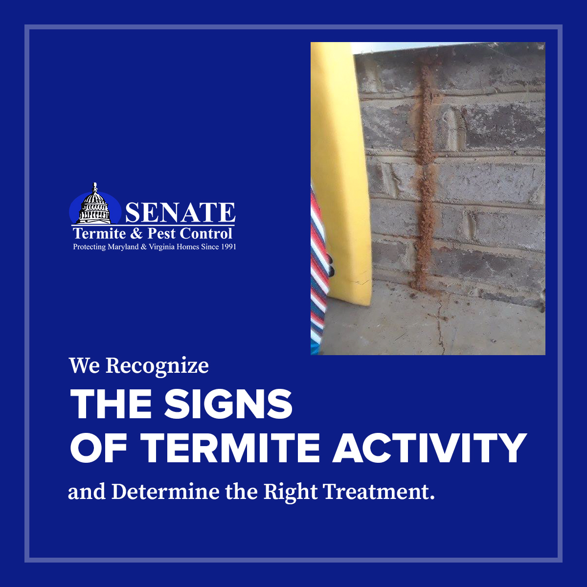 Senate Termite & Pest Control (@PestSenate) / Posts / X
