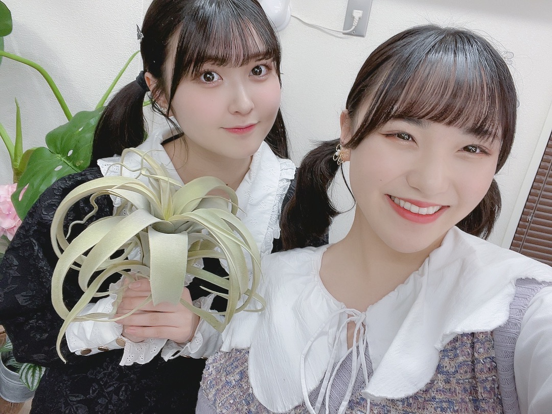 Beyooooonds Blog更新 みいもも 岡村美波 みなさん こんばんは Beyooooonds 雨ノ森 川海の岡村 美波 おかむら みなみ T Co Q62yk17cpa 雨ノ森川海 Beyooooonds ハロプロ T Co 0z6vedv56k Twitter