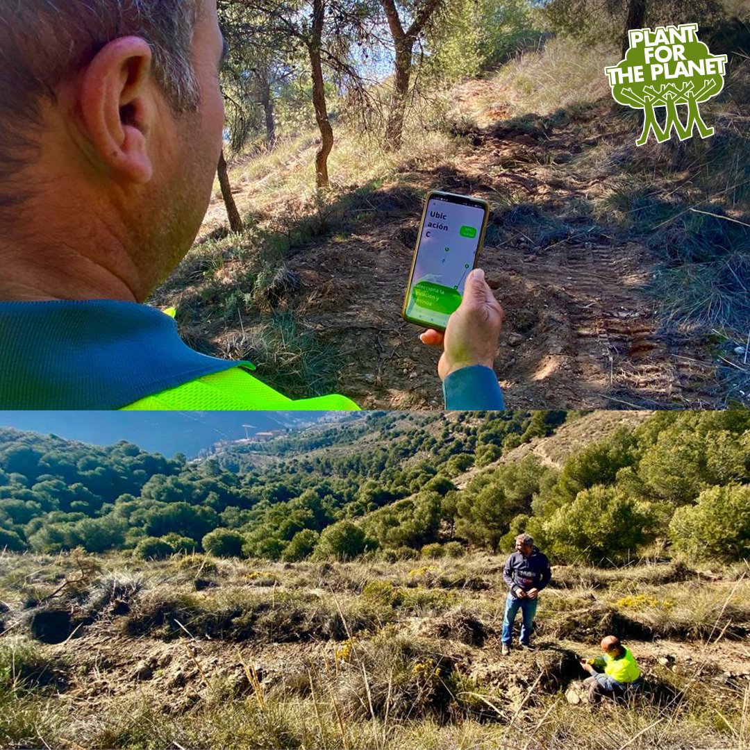 PlanetSpain's tweet photo. 📲 Como parte de nuestro objetivo de transparencia, queremos que conozcas que disponemos de una #App llamada #TreeMapper, que hemos desarrollado, que nos permite volcar toda la información detallada de las plantaciones que la Fundación realiza a nivel mundial.
🌳🌳🌳 https://t.co/dOX40jAQ5E