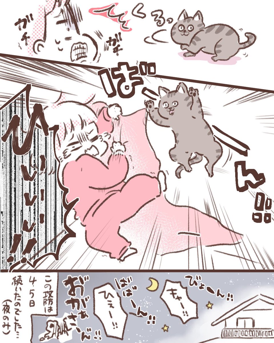 飼い猫に毎晩襲われてた話

親たちはネズミと間違われてるとか格下に見られてるとか笑ってたけど私はめっちゃ怖くておちおち寝てられなかった😂www
(子猫の時は甘えん坊だったのに…笑)

#猫の日 #エッセイ 