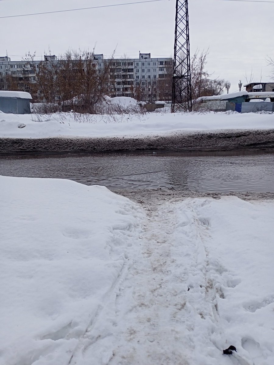 Светлана Лусис tweet media