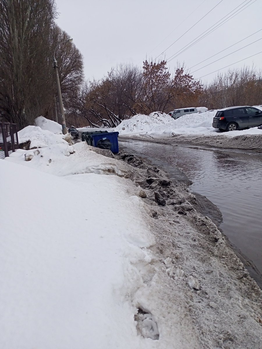 Светлана Лусис tweet media