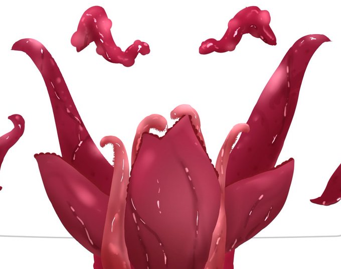 はじめてのしょくしゅ 