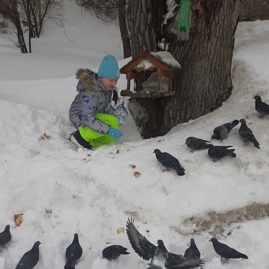 Активное участие ребята принимают в экологической акции "Покорми птиц зимой"