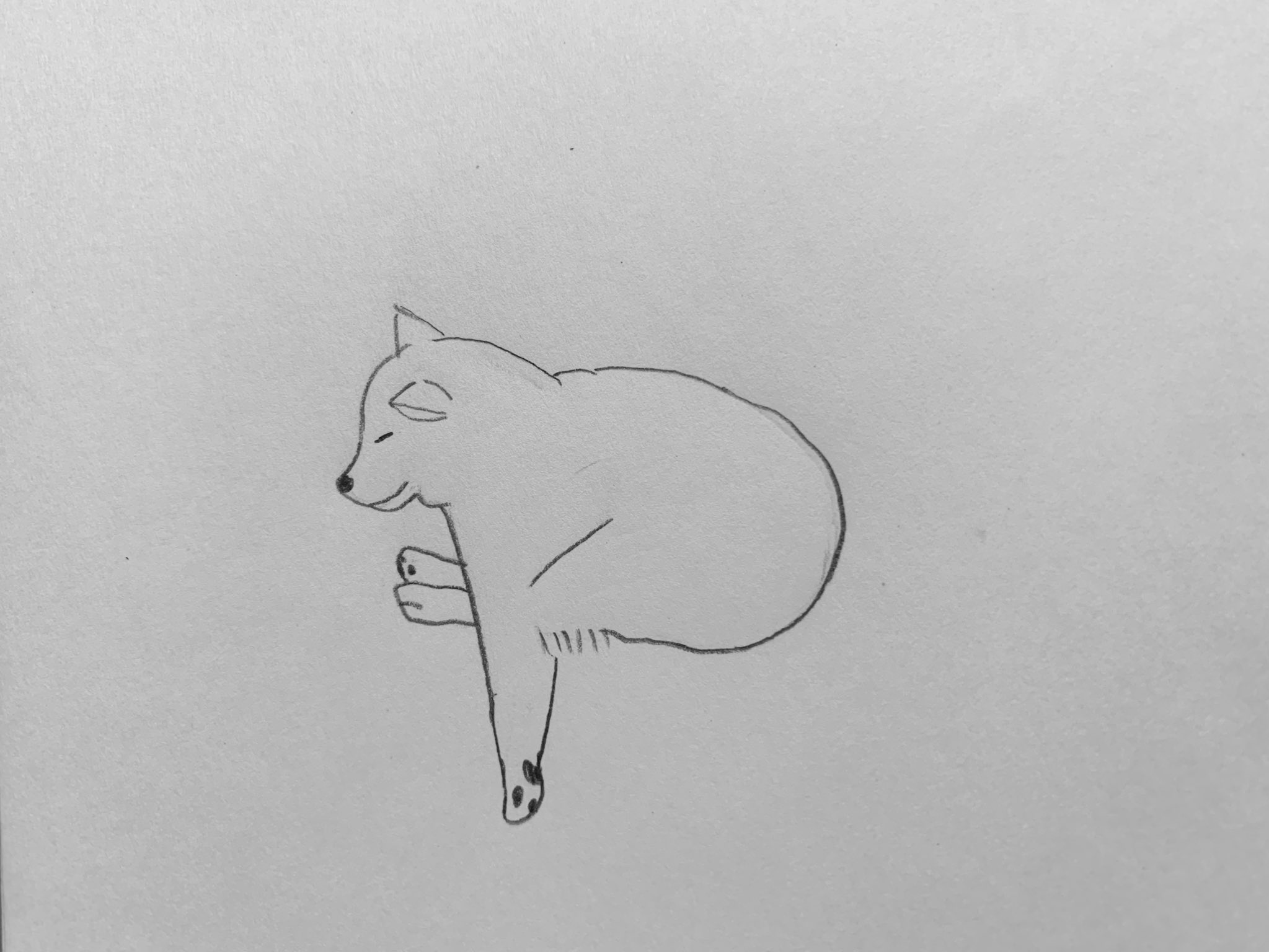 柴犬の絵 Twitter Search Twitter