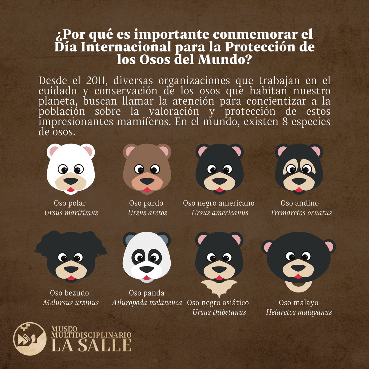 MuseoLaSallePE's tweet photo. Hoy conmemoramos el Día Internacional para la Protección de los Osos del Mundo y, desde el Museo Multidisciplinario La Salle, queremos a destacar la importancia del rol de estos animales dentro de la naturaleza, y la alarmante situación de peligro en la que se encuentran. https://t.co/Bwmj3sDHne
