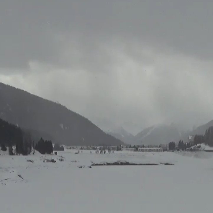 a_algorithmv's tweet image. trying to channel #MondayMotivation but it&apos;s not looking too good  &amp;gt;~&amp;lt; #snow