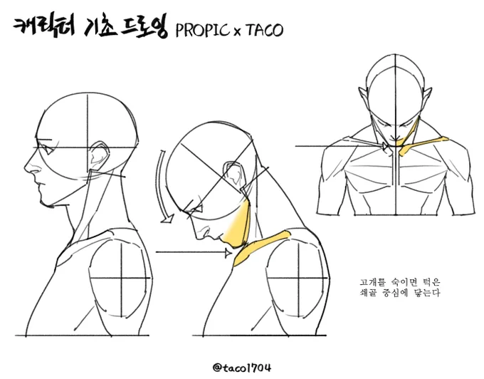 고개를 숙이면 턱은 쇄골 중심에 닿는다 