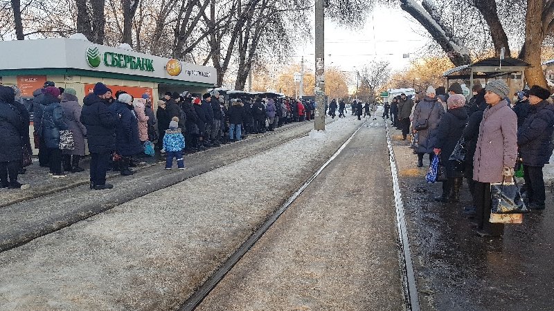 Ekaterina E. tweet media