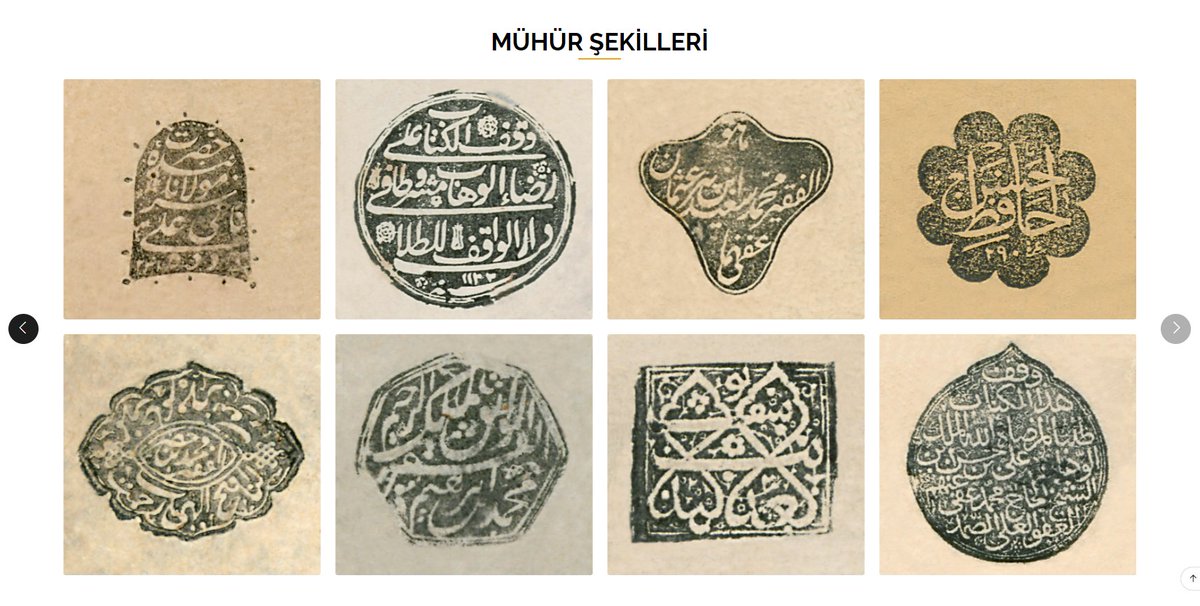 YEK Katalog tweet media