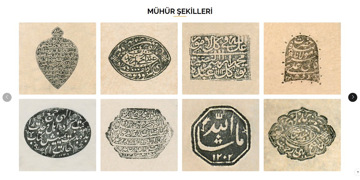 YEK Katalog tweet media