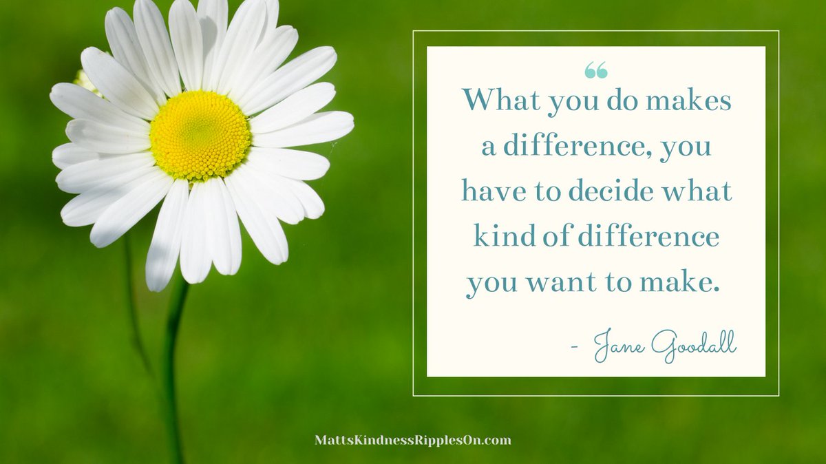 MattsKindness's tweet photo. Beautiful quote. What you do matters. Think about that. You can have a positive impact on our world. Choose your actions wisely.
#kindpeople #kindacts #kindmission #kindnessquotes #makekindnessloud #goodgoesaround #kindnesstakeover #spreadkindness #kindnessismagic https://t.co/Cll08gkbta