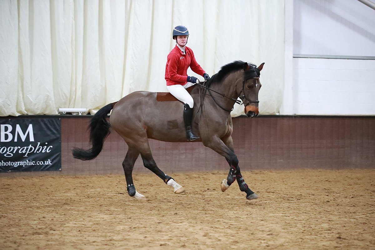 This horse is something else 😍
1.48m bareback - no problem 🚀
#poweredbySimpleSystem