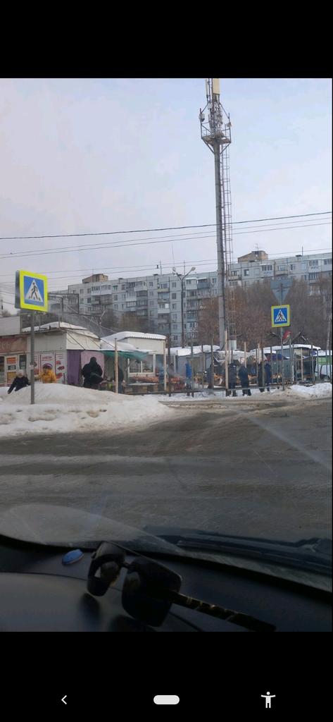 Надежда Осипова tweet media