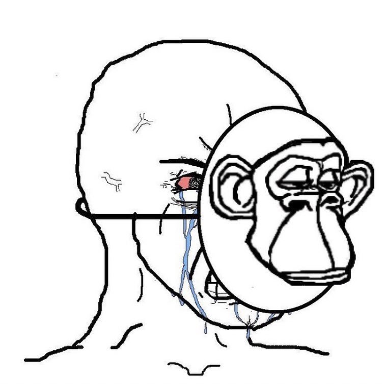 Nftzsche (@nftzsche) on Twitter photo 