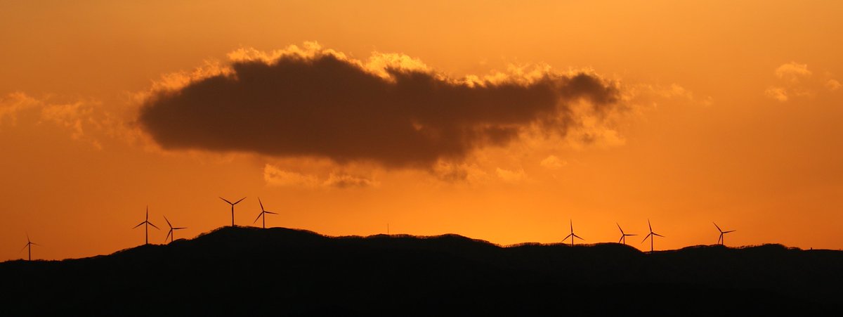 DiscoverKorea_'s tweet photo. #Sunset over the Taebaek Mountains, Gangwon Province 🐋☁️
#WhaleCloud #Cloud #SouthKorea #NaturePhotography #TwitterNatureCommunity
Photo by Yoo Hyung-jae https://t.co/AlqtGLhAri