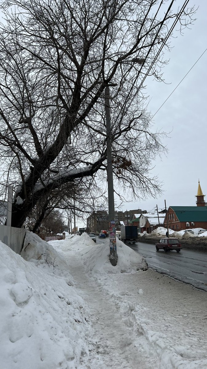 Илья Колесников tweet media