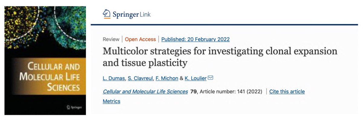 Corticogenesis_INM tweet media