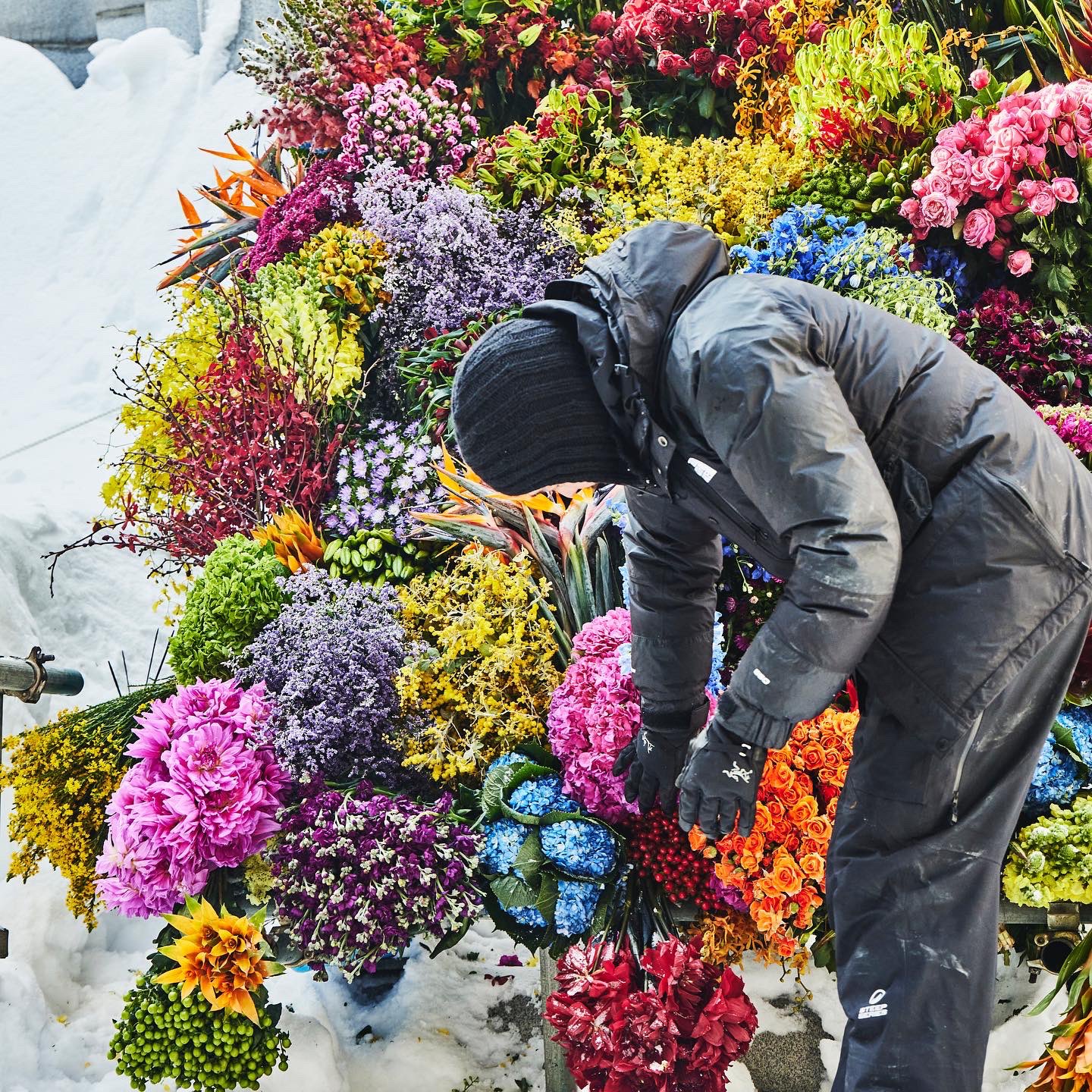 𖤣𖥧𖥣𖡡𖥧𖤣𝚈𝚄𝙺𝙸𖤣𖥧𖥣𖡡𖥧𖤣 3uuuu1 Twitter