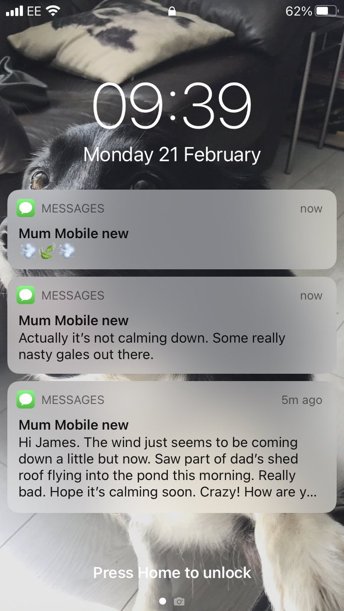 James Ormrod tweet media