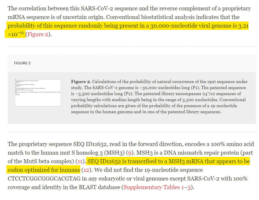 JikkyKjj's tweet image. WHOA! Finally published. This is #modernagate

$MRNA own the patent for this artificial MSH3 gene. 
The very gene that was needed to create the Furin Cleavage site in #SARSCOV2. 

frontiersin.org/articles/10.33…

#CTCCTCGGCGGGCACGTAG
