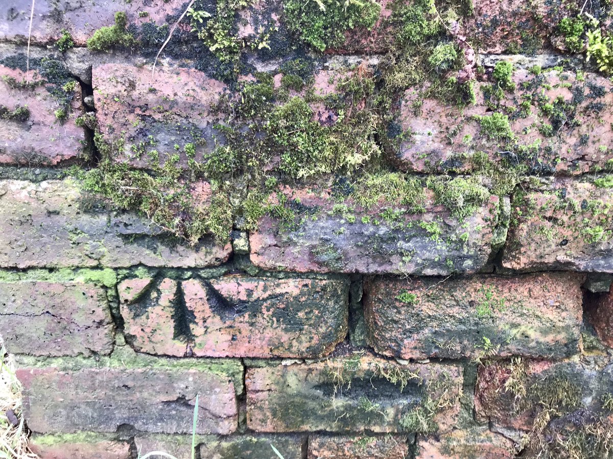 coal_legacies's tweet image. At long last found my first #coal connected #OSBenchmark on the ventilation shaft for Zetland Mine 1935-1960 which also doubled as an escape for the drift workings. Located on the north bank of #GartmornDam #Clackmannanshire #miningheritage #mininglegacies