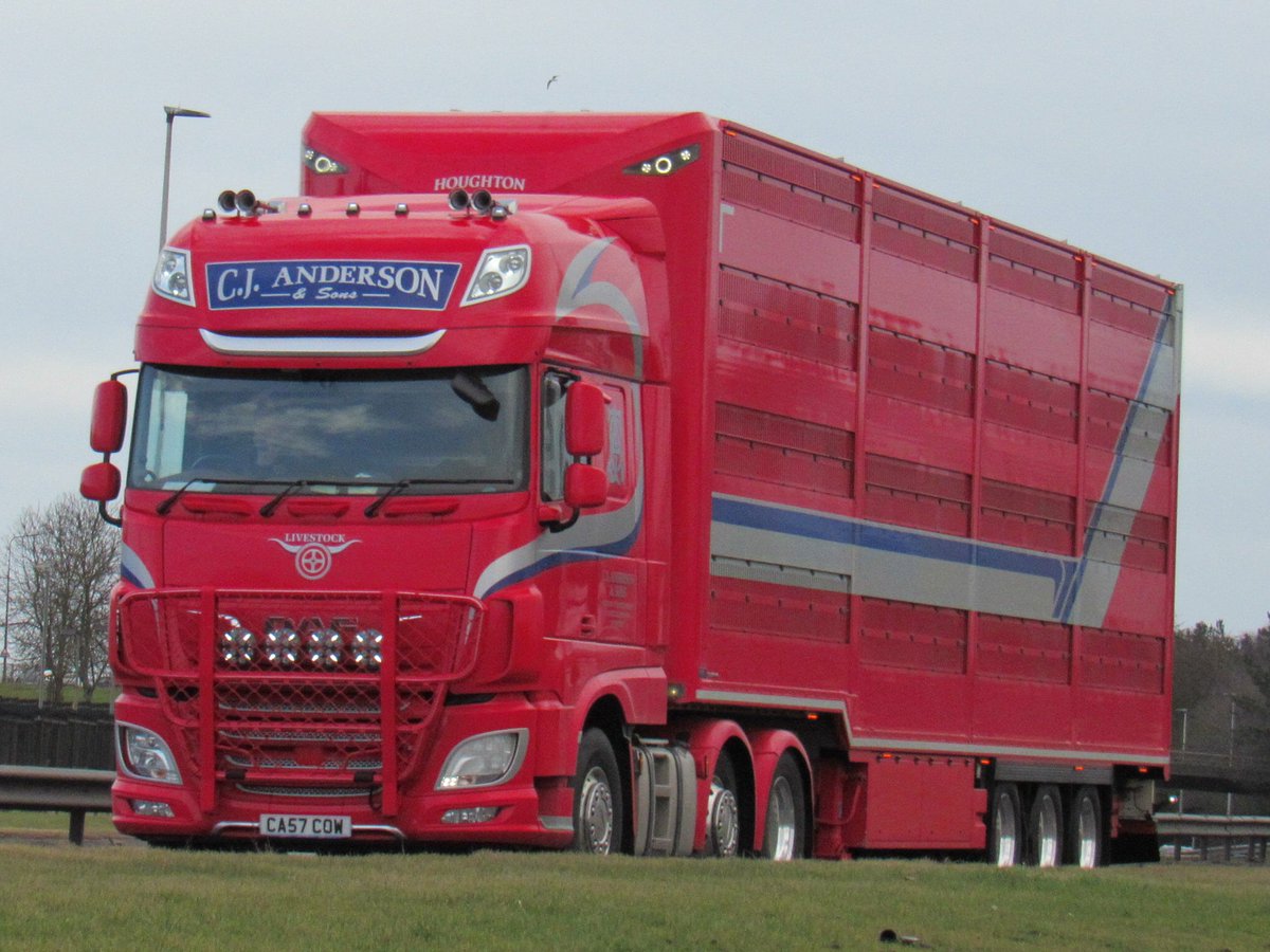 Houghton_P_Ltd's tweet photo. C J Anderson's 4 Deck Platinum Livestock Transporter spotted in Dundee.
📷by Gordon Mcmurray
#houghtonparkhouse #livestock #livestockhaulage #livestocktransport #livestocktrailer #CJAnderson @DAFTrucksUK https://t.co/Gq0AuHUVB5